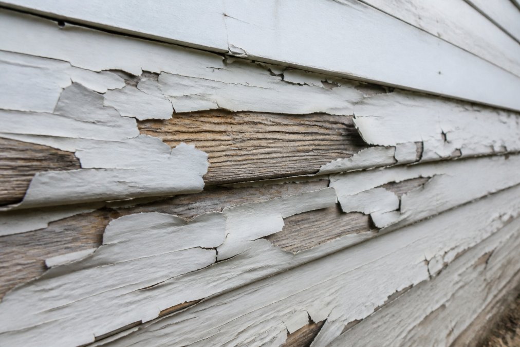 Close-up of peeling paint on exterior wood siding, showing multiple layers of paint lifting away from the substrate with exposed wood underneath visible