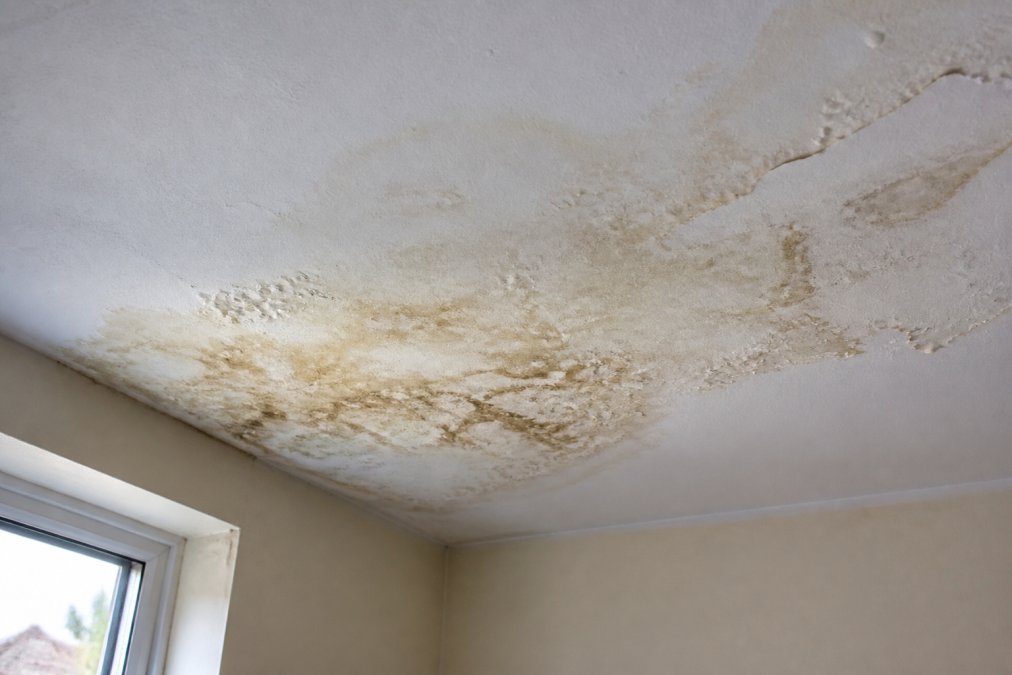 Close-up of water staining and blistering visible on an interior ceiling, showing yellowish-brown discolouration patterns and paint bubbling from roof leaks, with natural light from a window