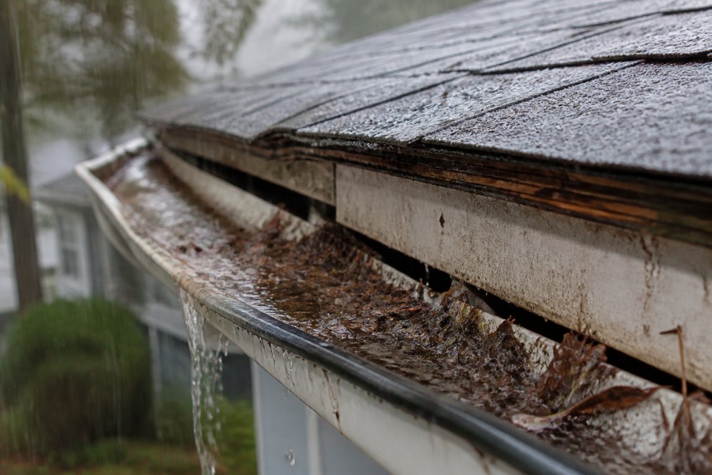 Close-up of a sagging gutter section filled with debris and water pooling during heavy rainfall, showing separation from fascia board
