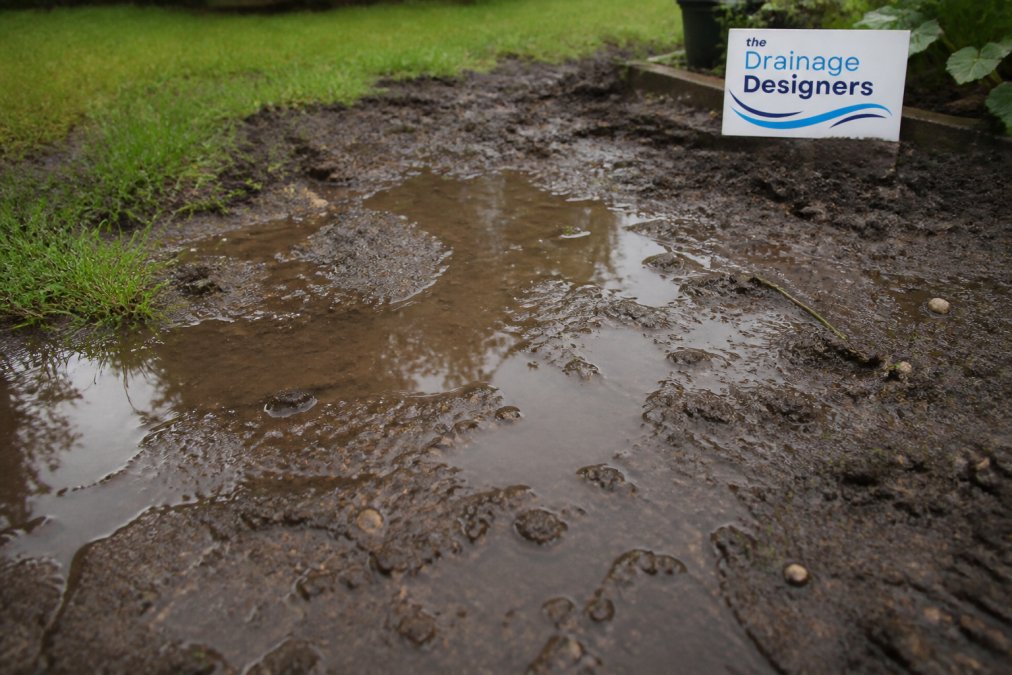 Close-up view of waterlogged garden soil with standing water pooling on the surface, saturated topsoil visible, muddy texture after heavy rainfall