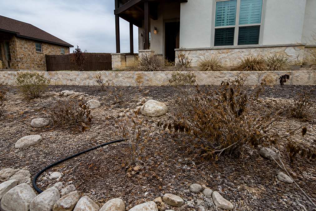 Why Landscaping Projects Fail in Texas: 7 Critical Mistakes