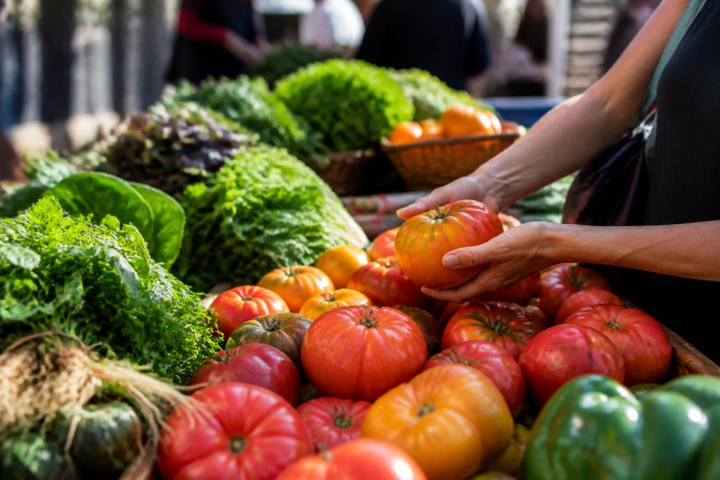 Close-up of vibrant fresh produce at a farmers market with colorful vegetables and ripe fruits glistening with morning dew, hands selecting heirloom tomatoes and leafy greens in natural sunlight
