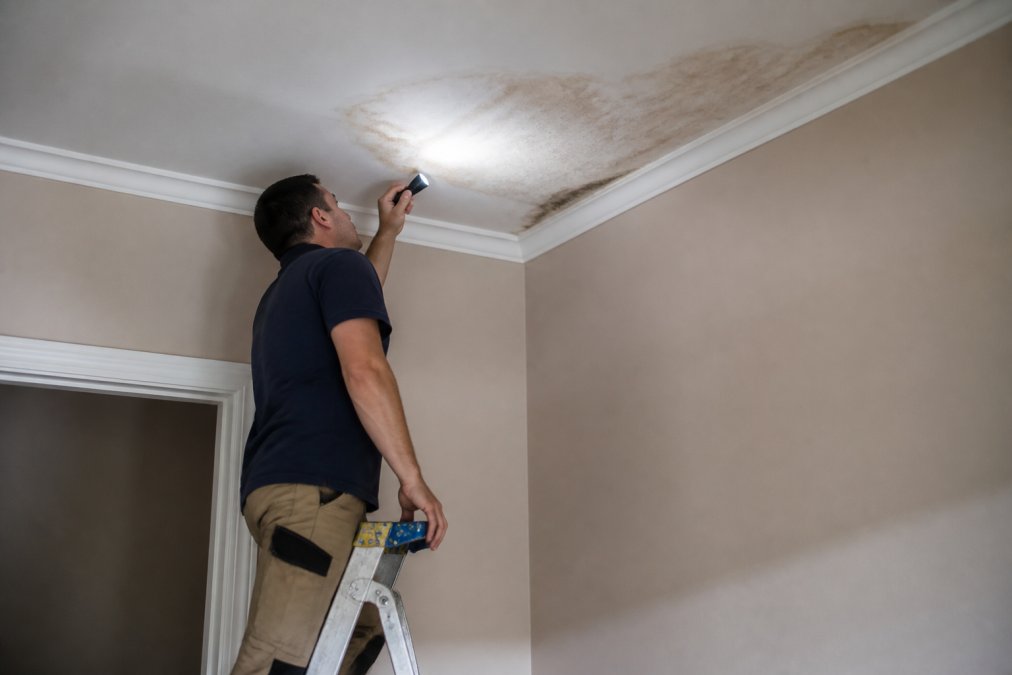 A homeowner on a stepladder inspecting a ceiling corner with a torch, a brown water stain spreading across the plasterboard, damp patch visible at the cornice