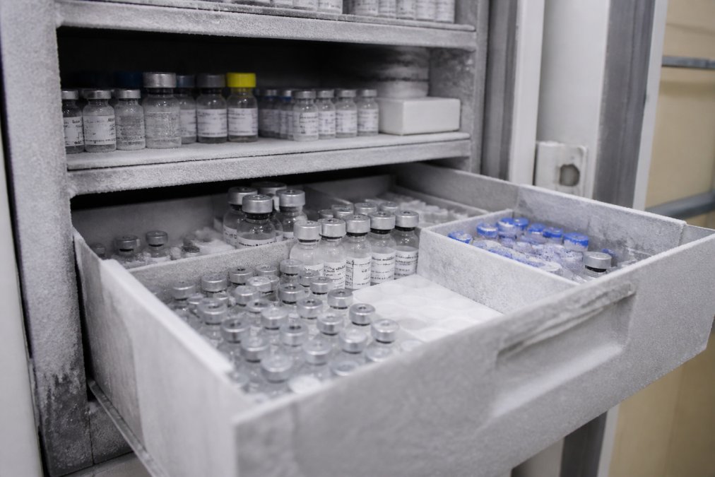 Close-up of multiple peptide vials with clear labeling and batch numbers stored in organized rows inside a temperature-controlled freezer unit with visible frost and precise labeling systems