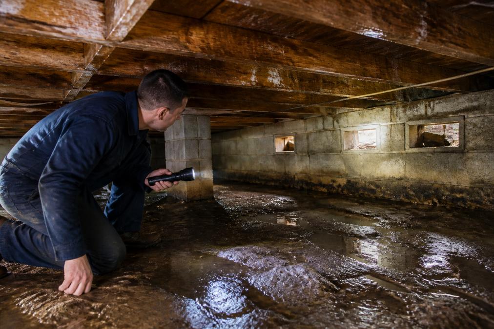 Technician with flashlight inspecting a dark crawlspace showing exposed wood joists, visible moisture on surfaces, and inadequate ventilation openings