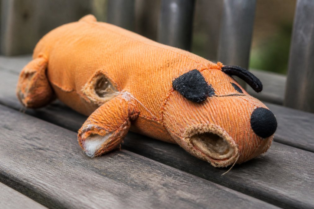 Close-up of a worn dog toy showing torn seams, loose threads, and fabric fatigue, demonstrating visual warning signs that indicate replacement is needed