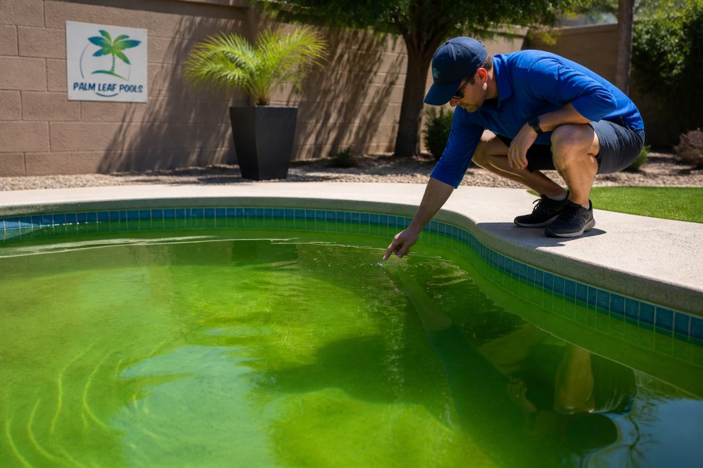 Why Pool Water Turns Green Quickly: A Fix Guide