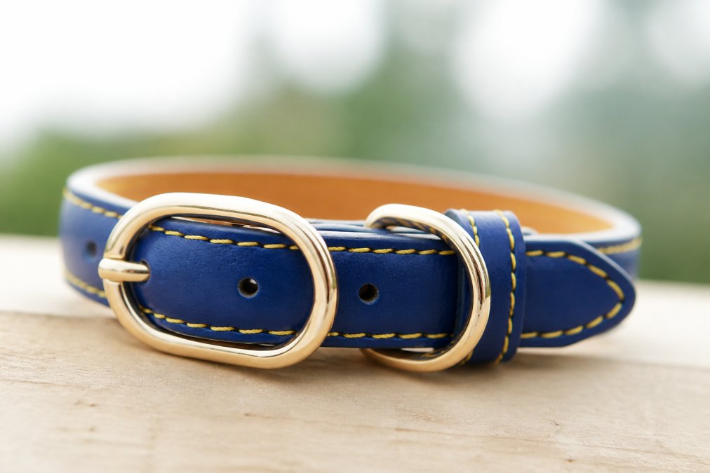 Close-up of reinforced stitching and quality stainless-steel hardware on a premium pet collar, showing detailed craftsmanship with natural lighting highlighting the durability features and construction quality