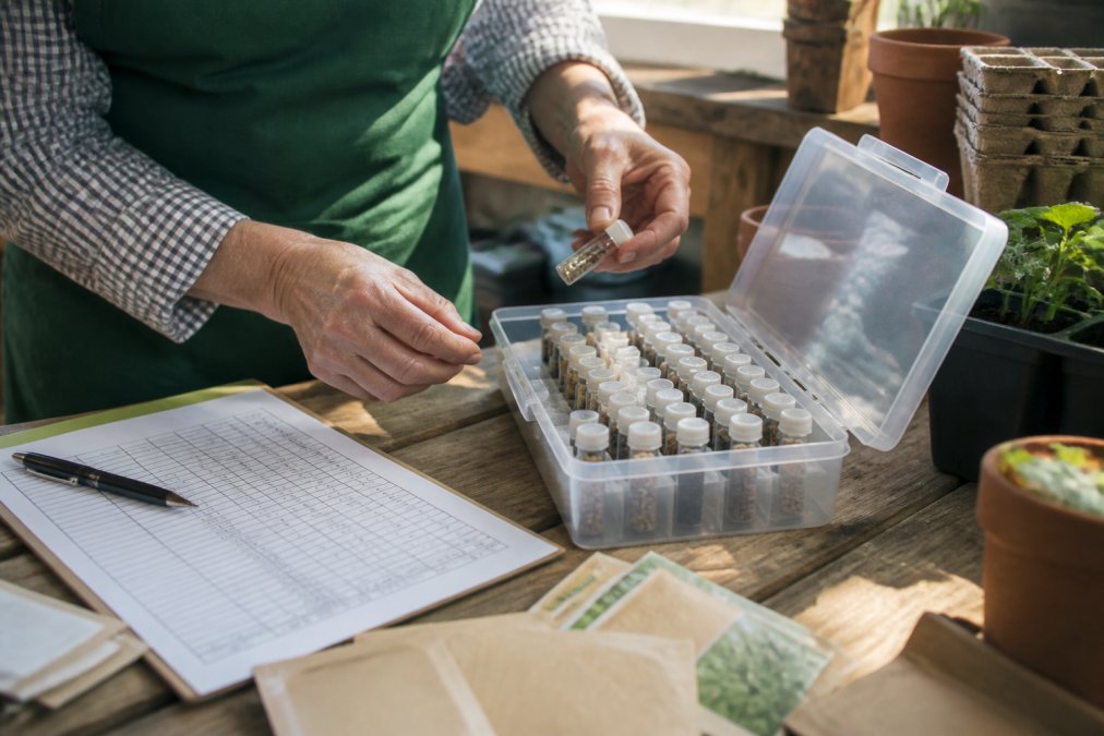 Gardener's hands organizing labeled seed vials in a portable storage box on a wooden workbench, with a printed inventory spreadsheet visible, natural sunlight streaming across the workspace