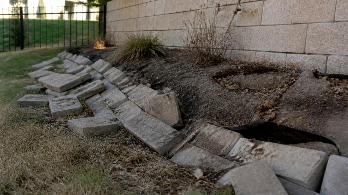 Why Residential Landscaping Projects Fail