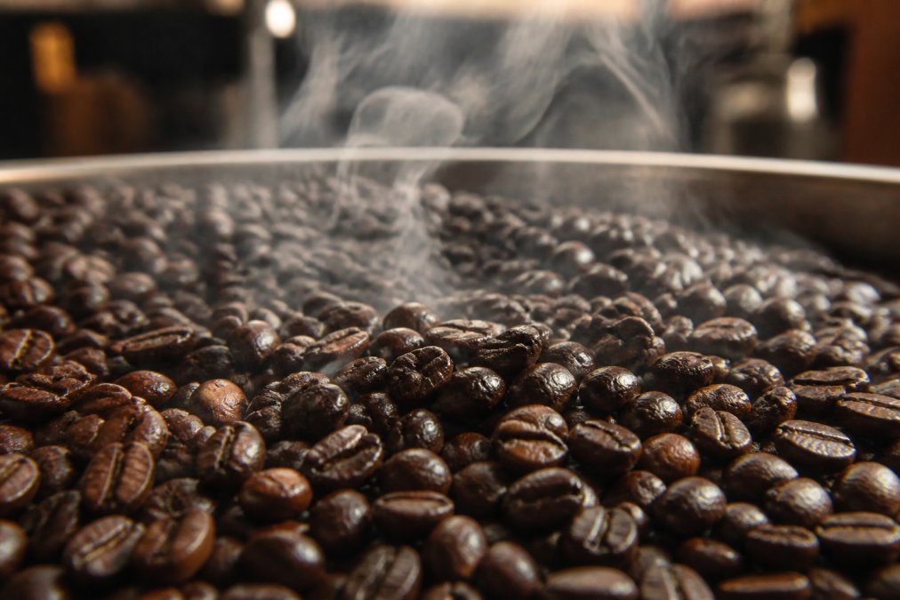 Close-up of freshly roasted coffee beans with visible glossy sheen and steam rising from dark, glistening beans in natural morning light