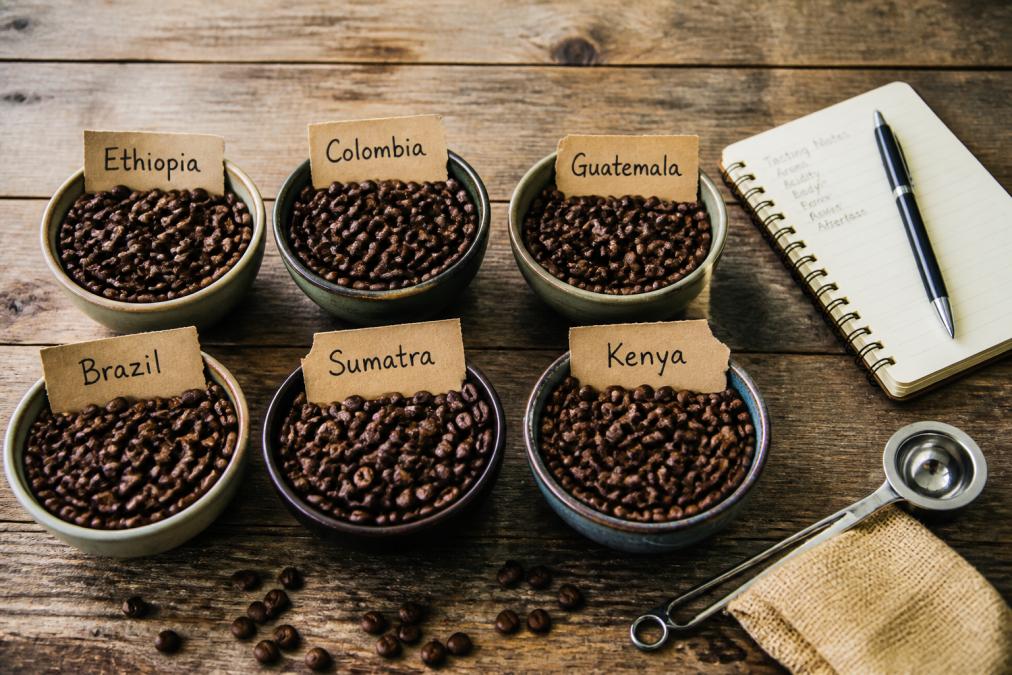 Flat lay of coffee bean samples from six global regions with a tasting notebook and cupping spoon on a wooden table