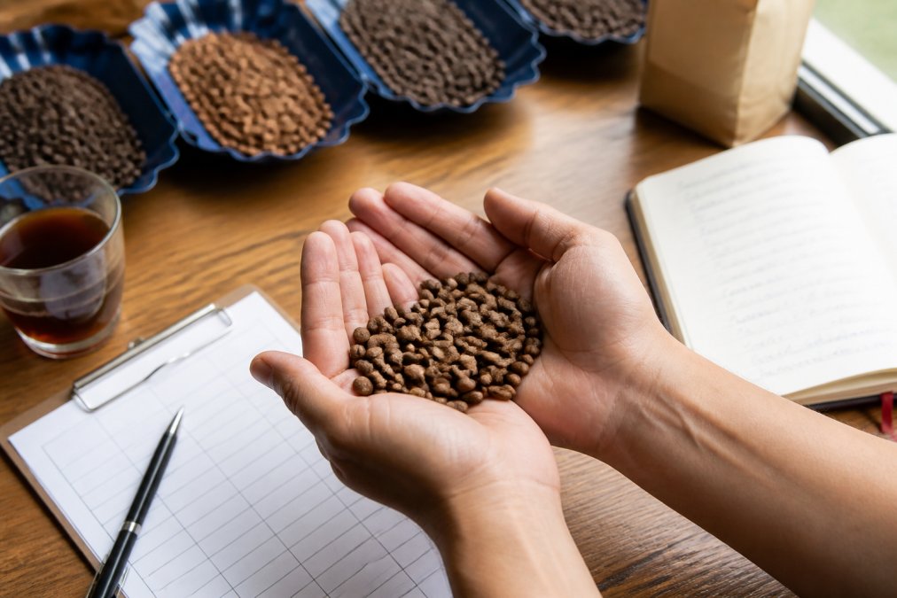 Hands holding specialty coffee beans showing varied amber and brown roast colors, examining bean quality against natural window light, with coffee cupping score sheet and roasting notes visible on wooden table