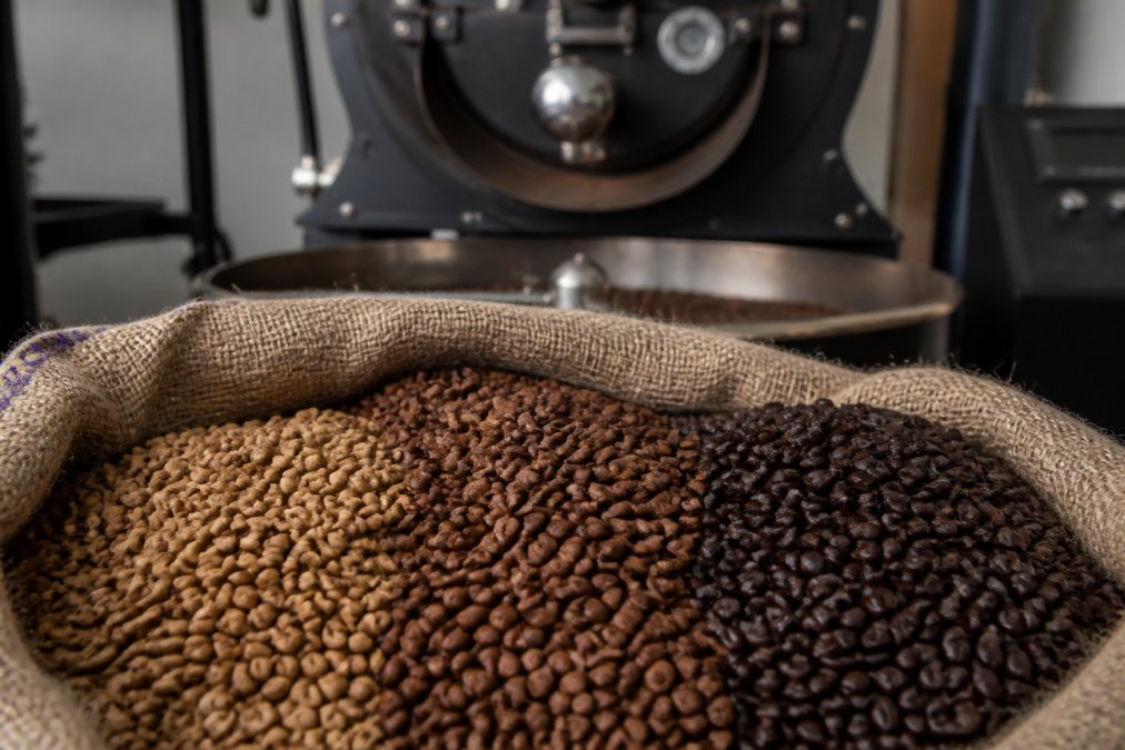 Close-up of freshly roasted coffee beans in a burlap sack, showing different roast levels from light to dark, with a roasting drum visible in the background