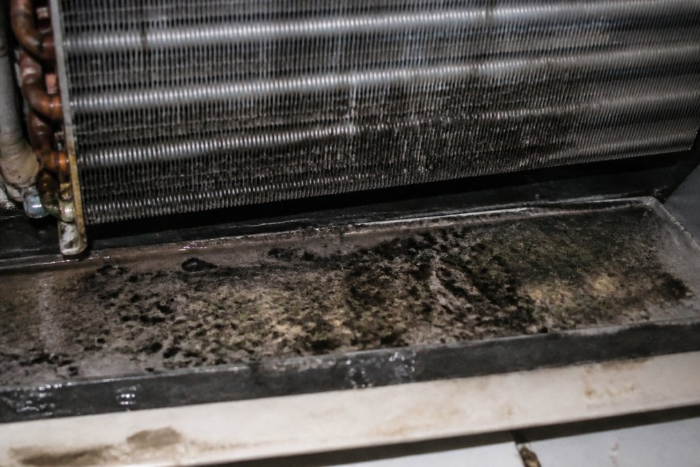 Close-up view of dark mold and mildew growth coating an evaporator coil and drip pan inside an air handler unit, with visible water droplets and biofilm buildup in dim indoor lighting