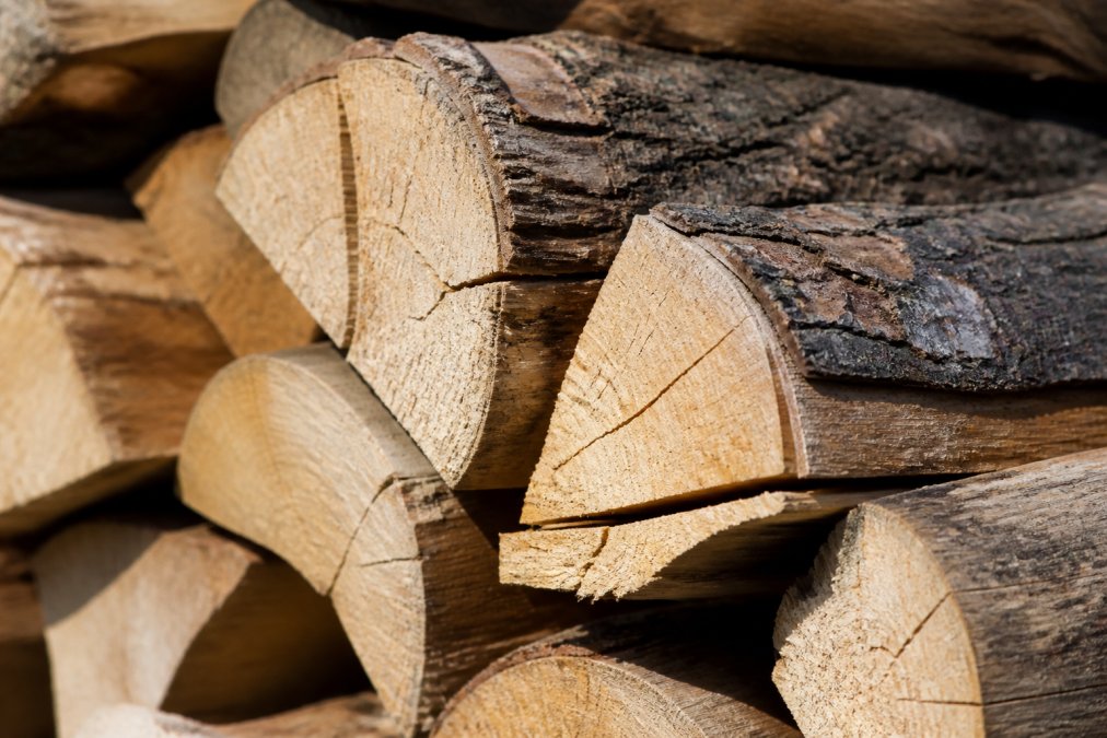 Close-up of stacked seasoned firewood showing pale, cracked wood ends with visible grain patterns and dry texture in natural sunlight