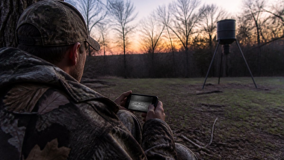 Hunter in camouflage viewing live video on smartphone screen while positioned near a tree at a remote hog feeding station at dusk, with feeder visible in background