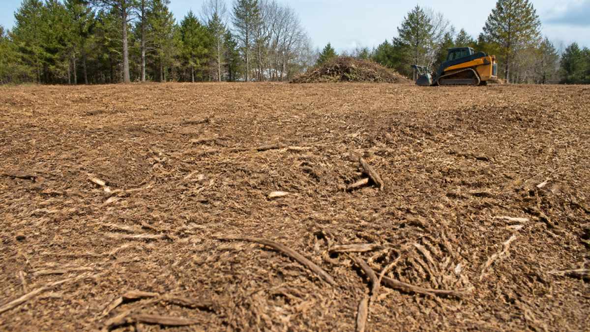 Infographic detailing the process of soil preparation after forestry mulching to help grass grow successfully.