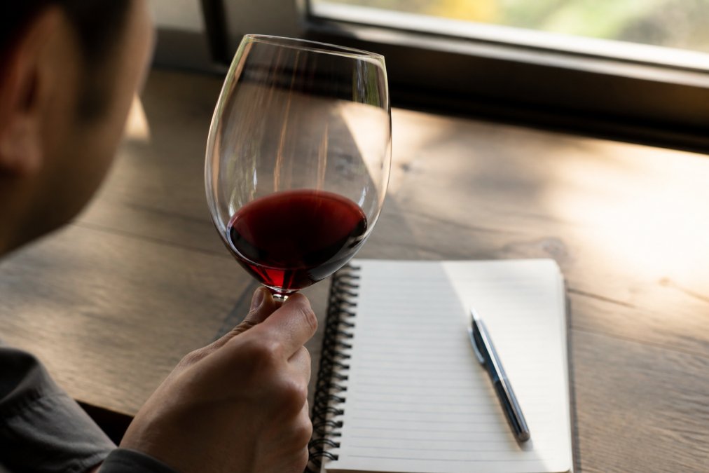 Infographic chart for wine tasting tips for beginners showing steps to evaluate wine color, clarity, and notes.