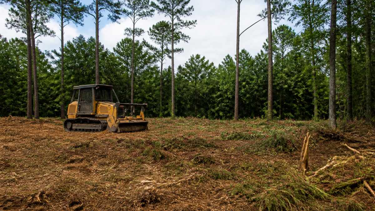 Wooded Lot Clearing East Texas: Costs, Permits & Steps