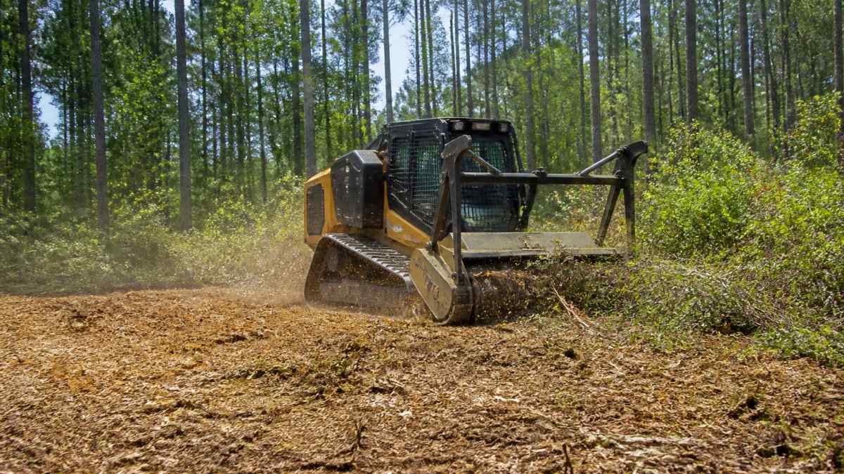 A tracked forestry mulching machine cutting through thick underbrush on a wooded East Texas property, freshly mulched ground in the foreground and mature pine trees standing behind, soft morning light through the canopy