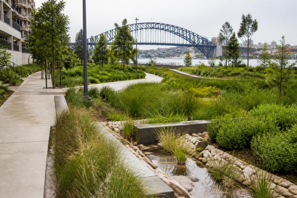 WSUD in Sydney Developments: How to Integrate It