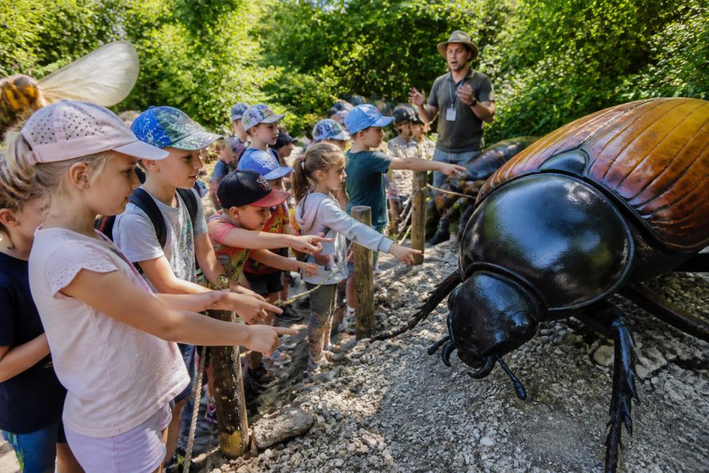 Grupa dzieci w wieku 5-8 lat obserwuje gigantyczne modele owadów na ścieżce edukacyjnej, wskazując na szczegóły anatomiczne; słoneczny dzień, zielone otoczenie, edukator w tle wyjaśniający strukturę insektów