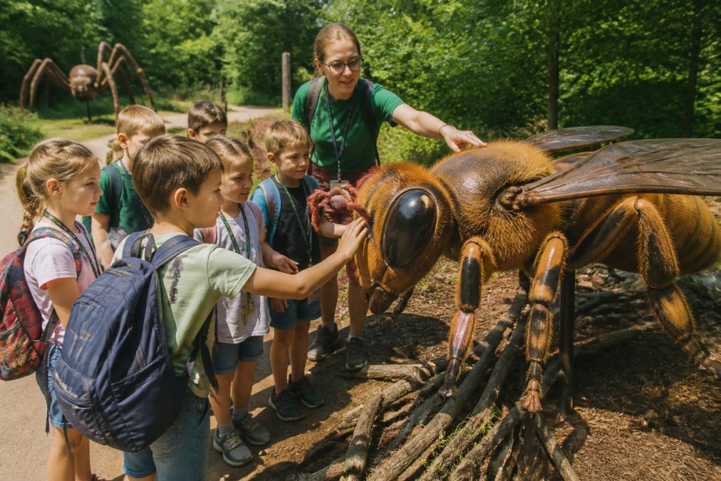 Grupa dzieci obserwujących gigantyczne modele owadów na ścieżce edukacyjnej w słoneczny dzień, dotykających ekspozycji z zainteresowaniem, nauczyciel wskazujący szczegóły anatomiczne