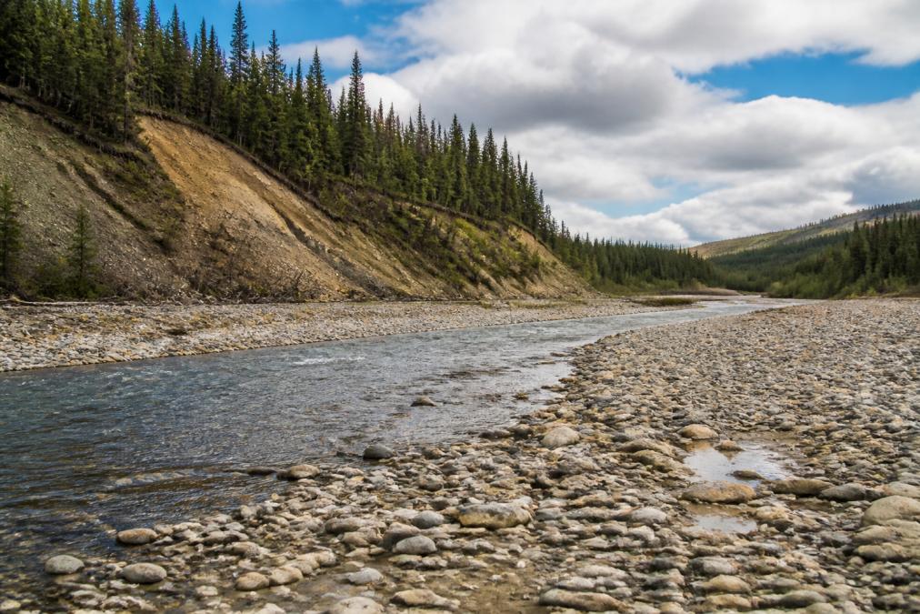 A wide shot of a rugged Yukon creek valley in late summer, gravel banks lining the shallow water's edge with dense boreal forest rising behind, evoking the remote frontier landscape of Bonanza Creek in the 1890s