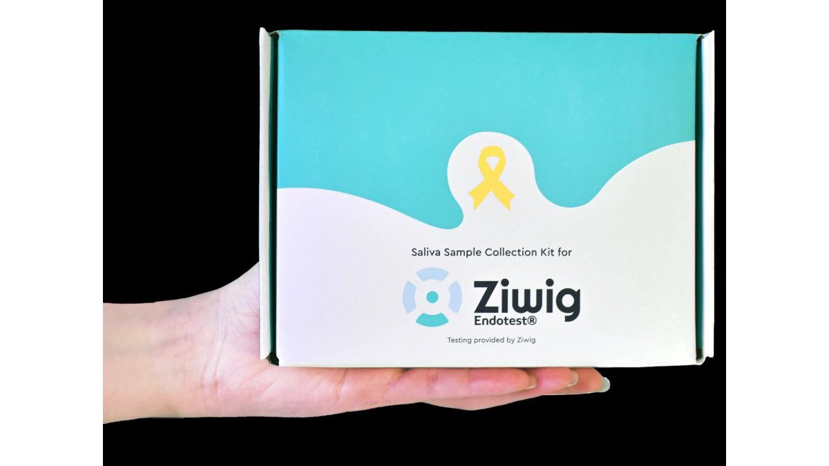 Top-Rated Private Gynaecologists for Endometriosis and Cancer