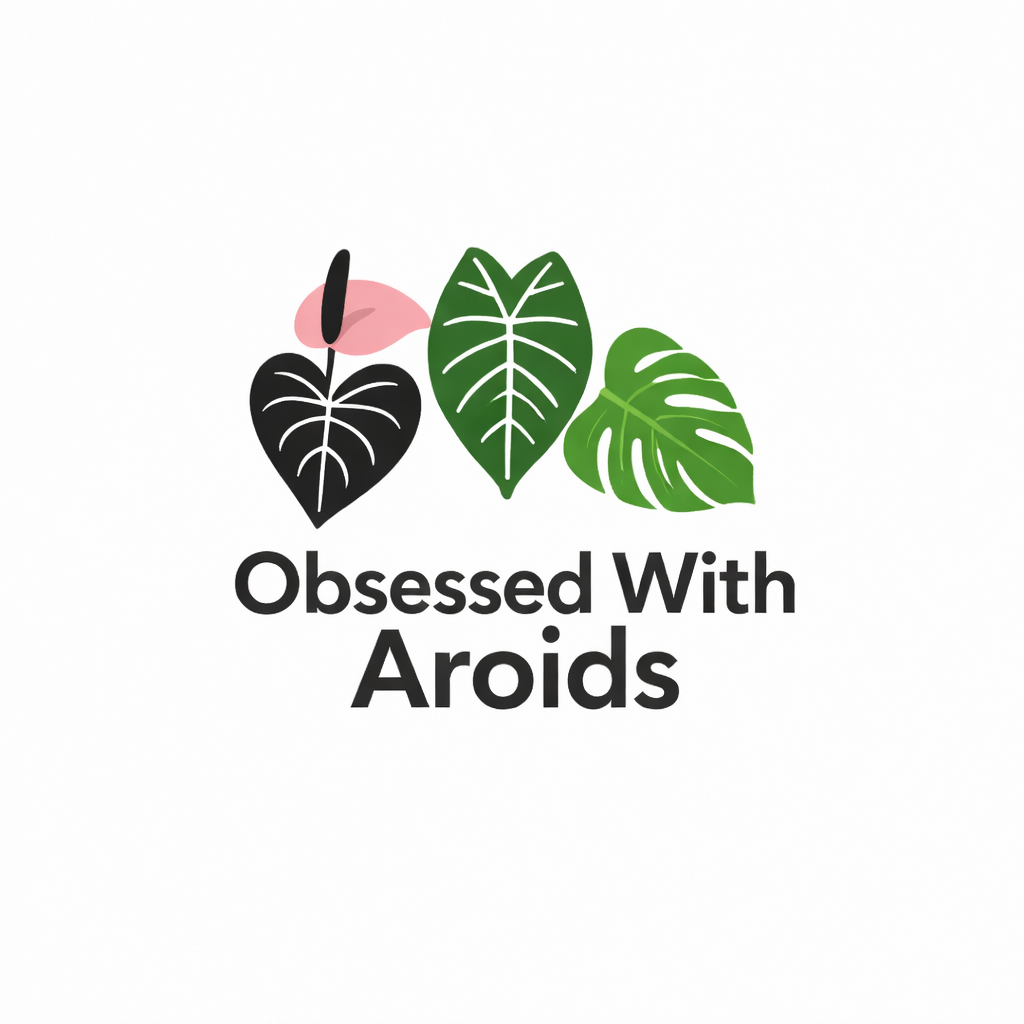 Obsessed With Aroids