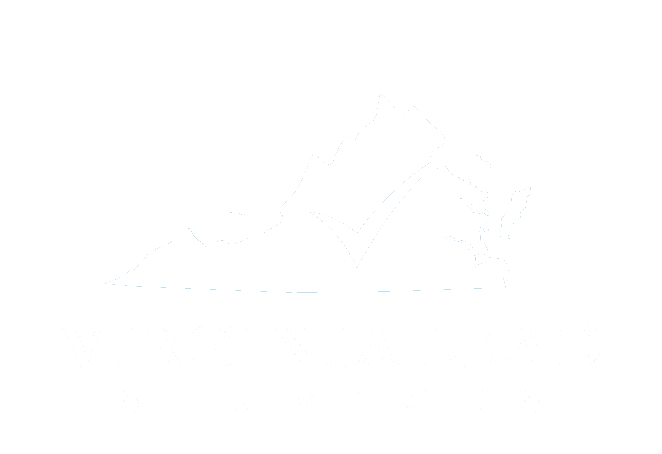 Virginia Lead Services